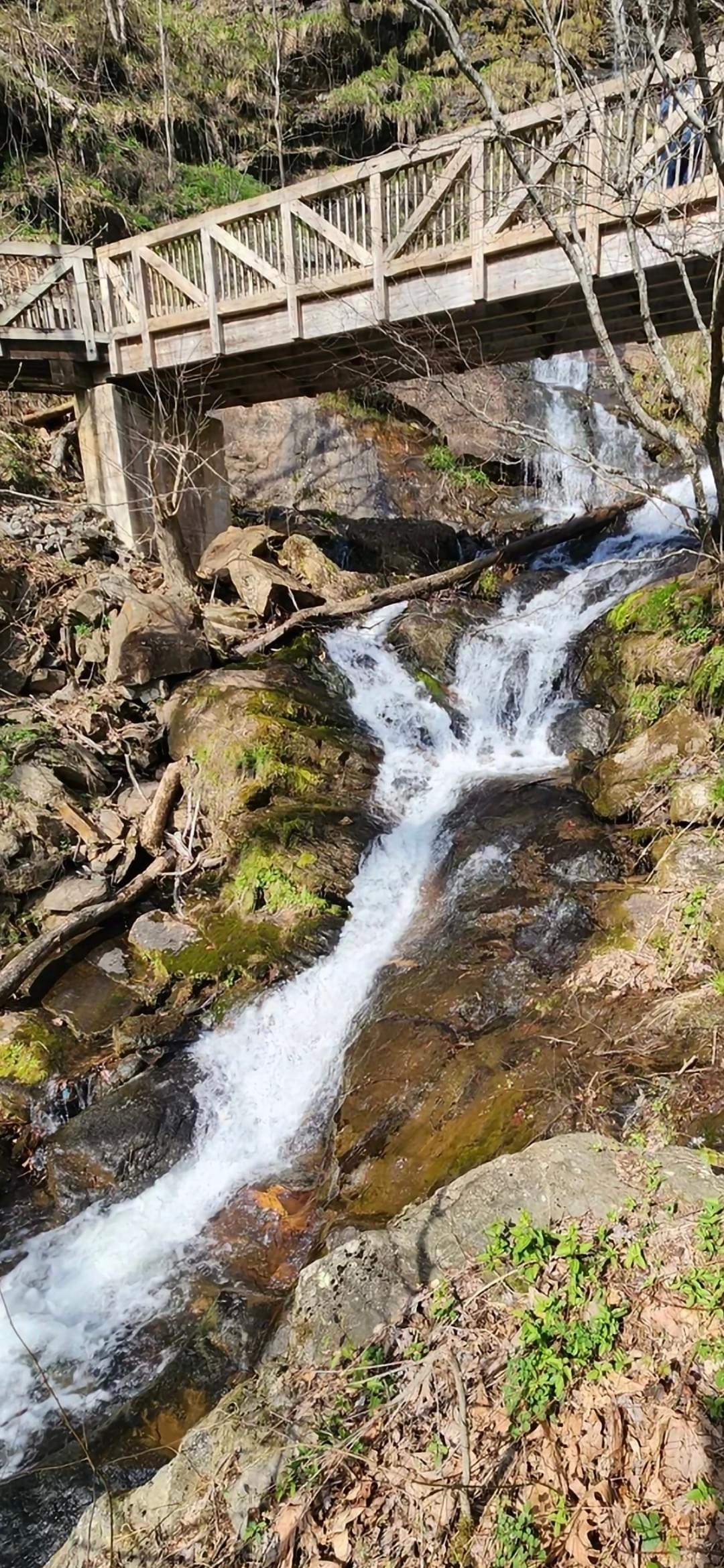 Middle falls bridge on the AT Approach Trail at Amicalola Falls, Georgia