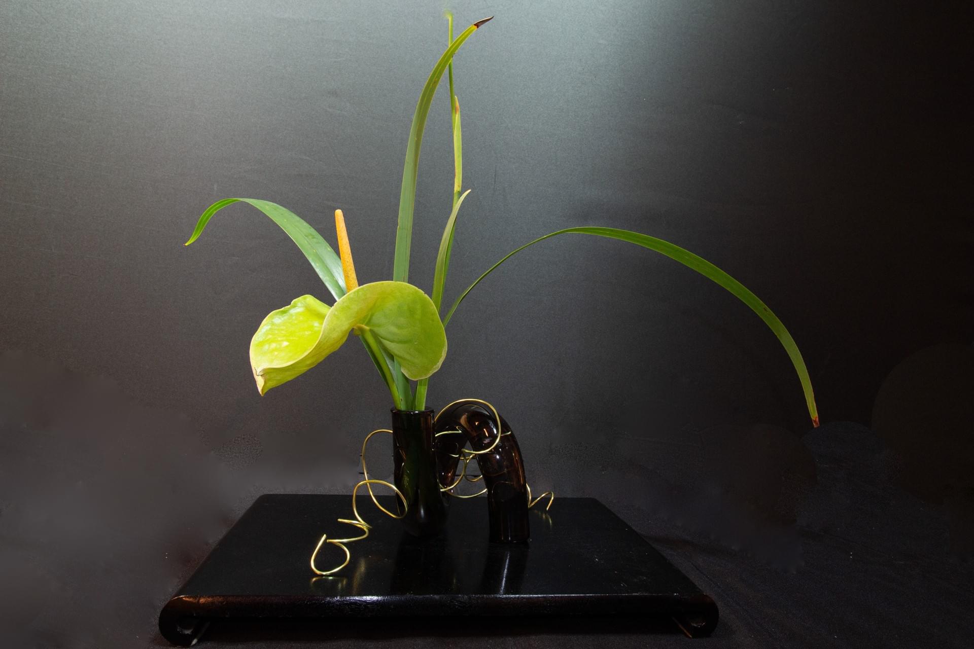 Ikebana 160 Naples Chapter