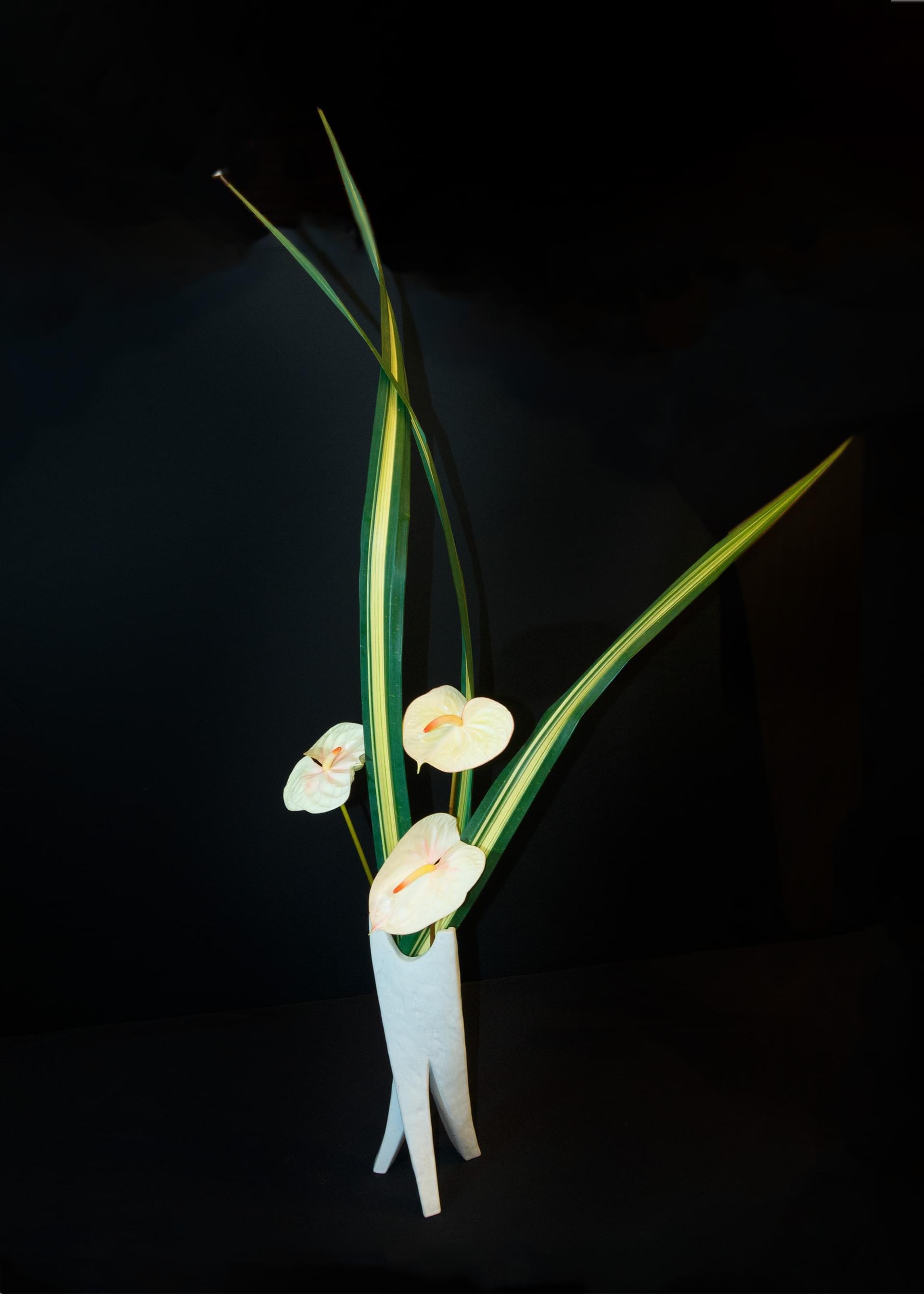 Ikebana 160 Naples Chapter