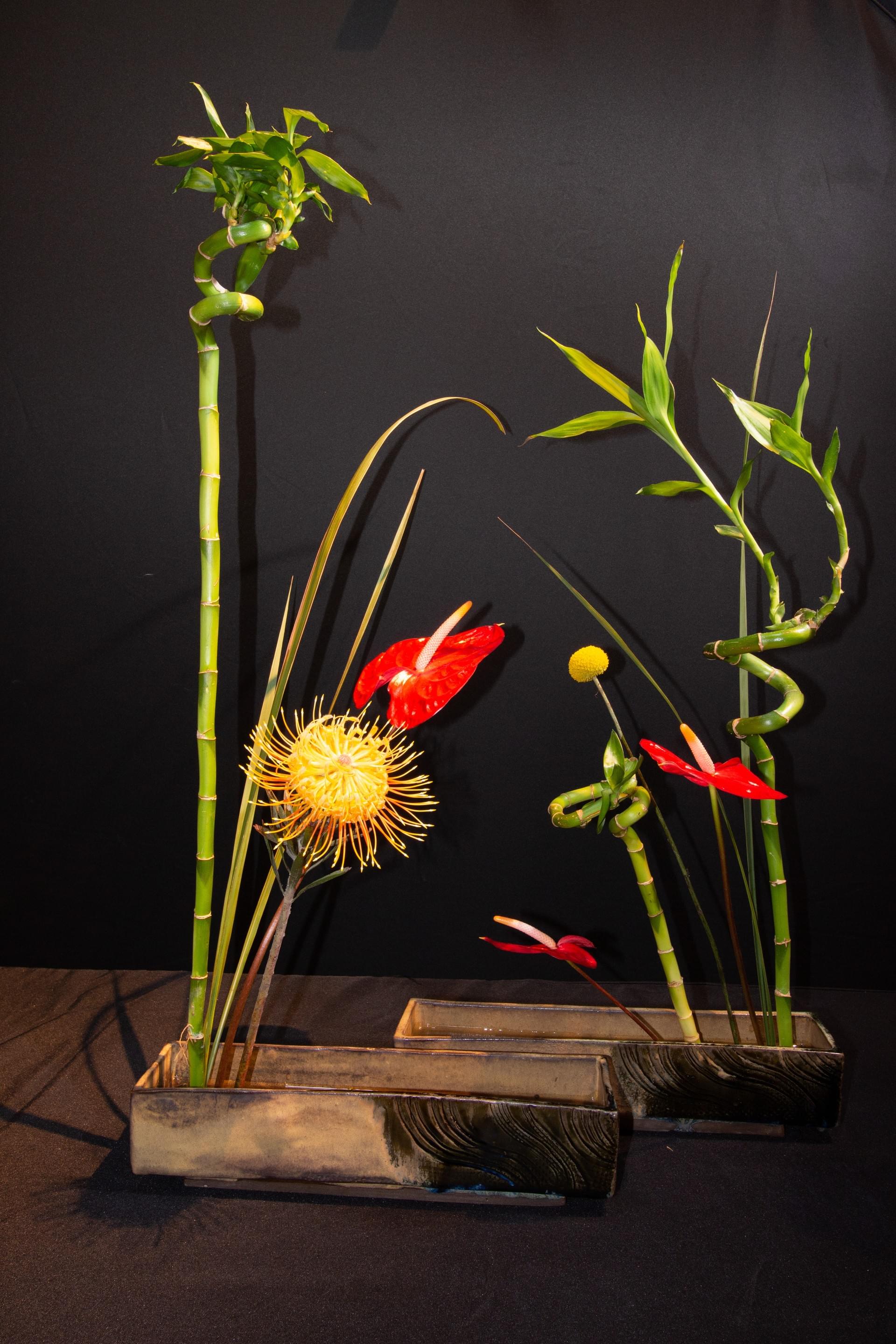 Ikebana 160 Naples Chapter