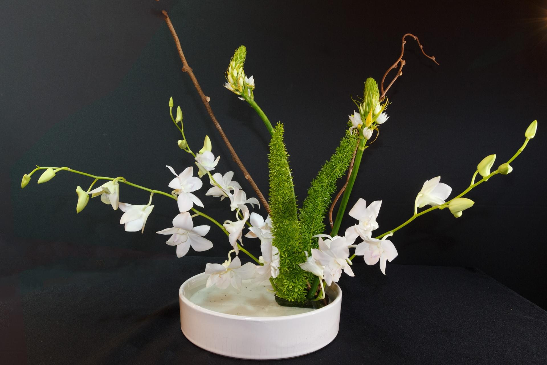 Ikebana 160 Naples Chapter