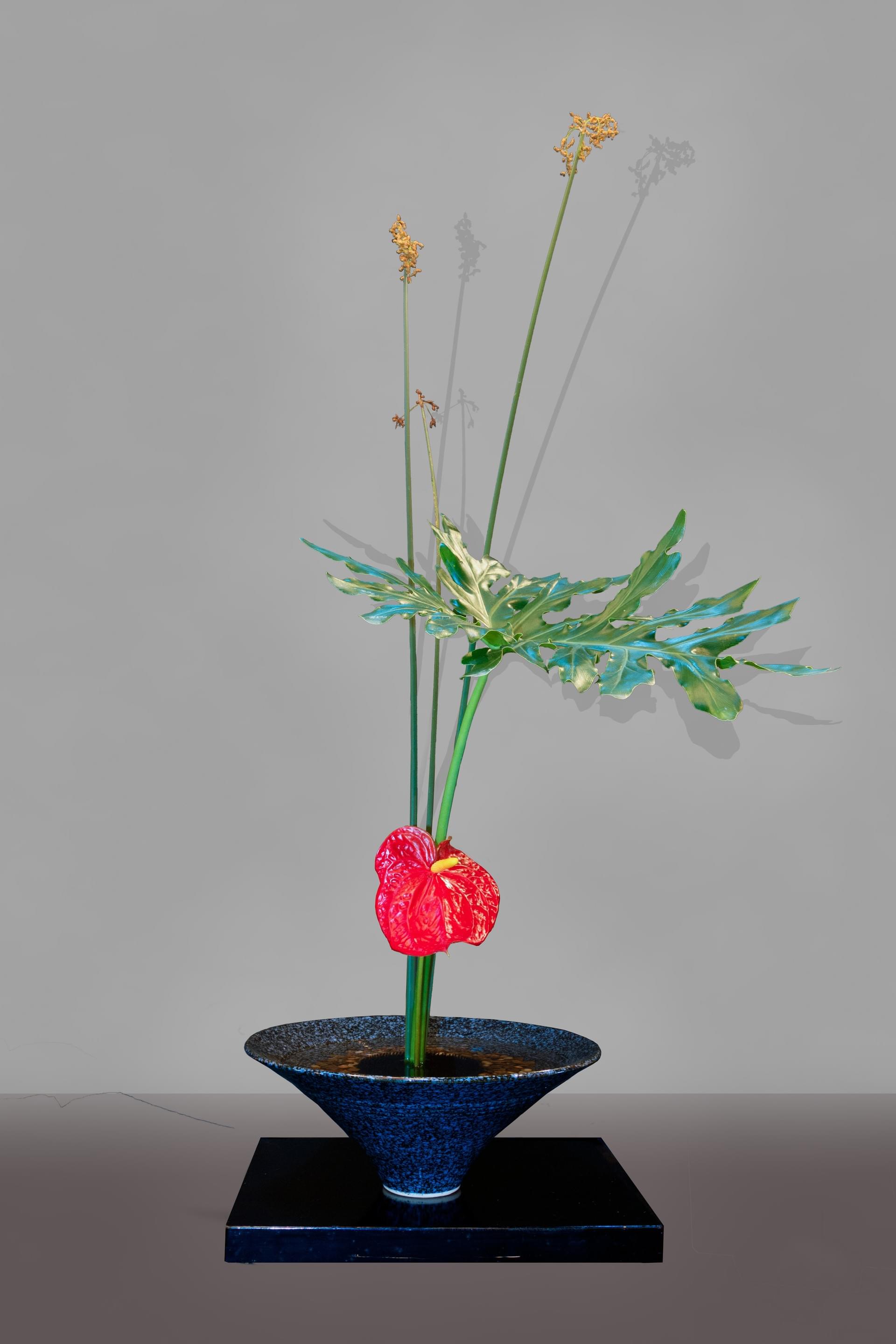 Ikebana 160 Naples Chapter