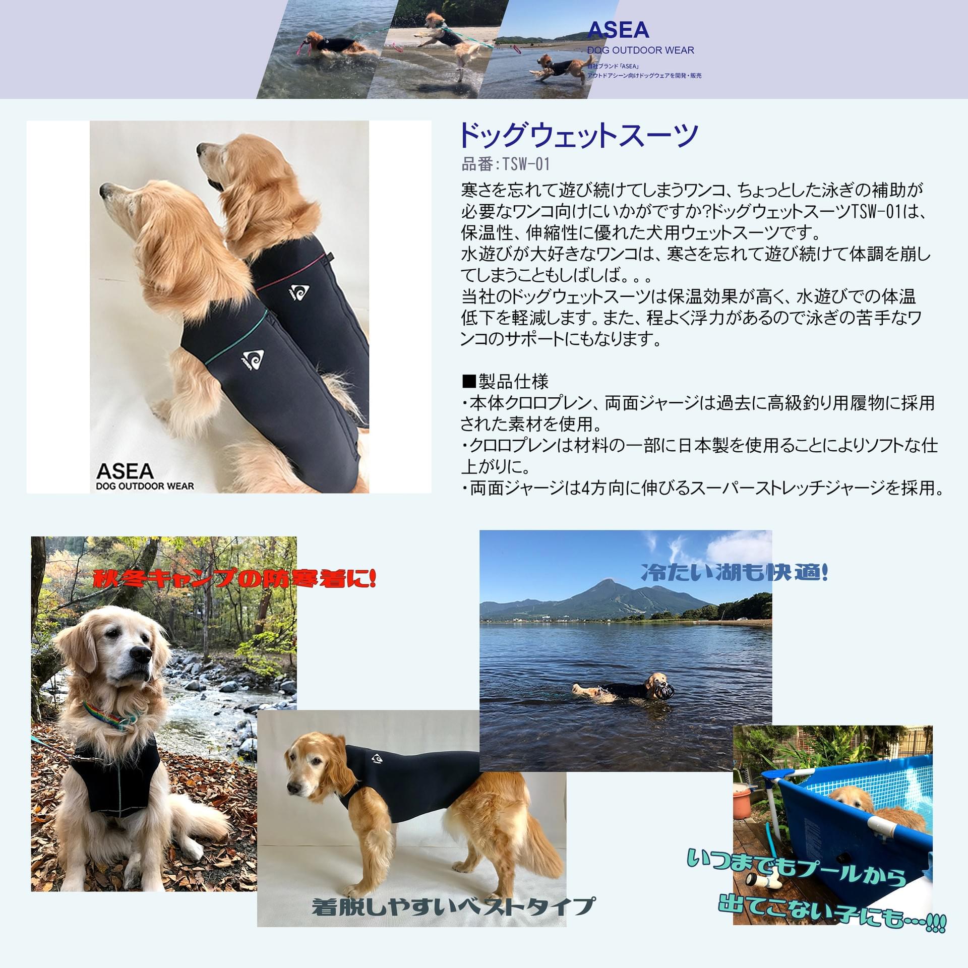 asea-web-catalog on Strikingly