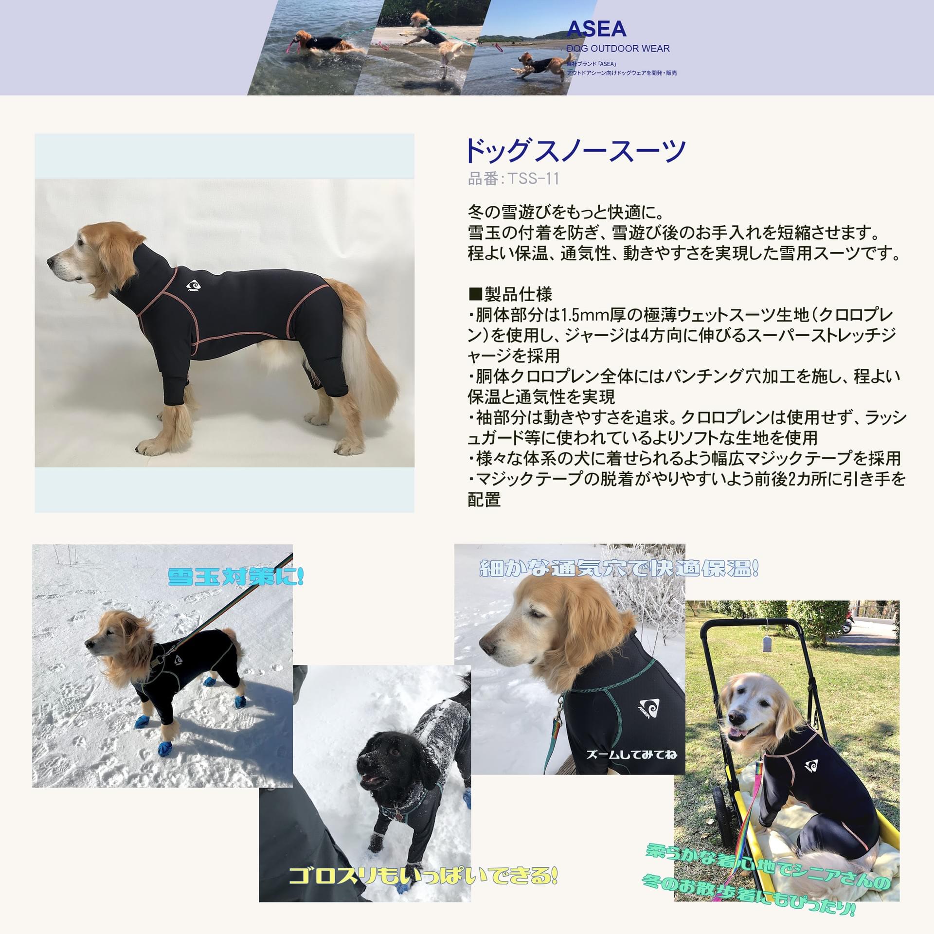 asea-web-catalog on Strikingly