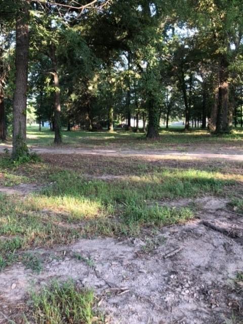 344 Lake Palestine RV Park photo 4