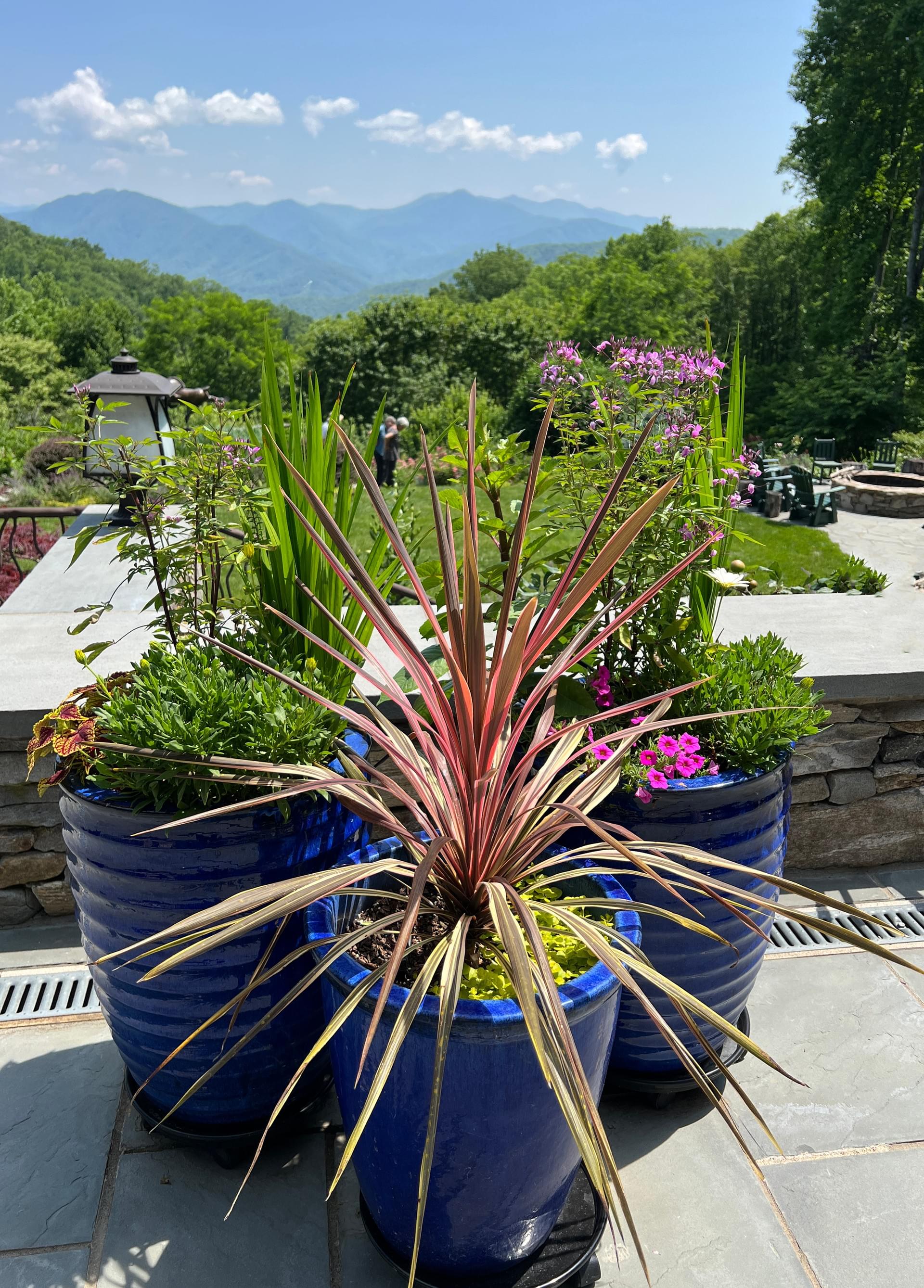 Elizabeth Clark 2025 - Ikebana Asheville