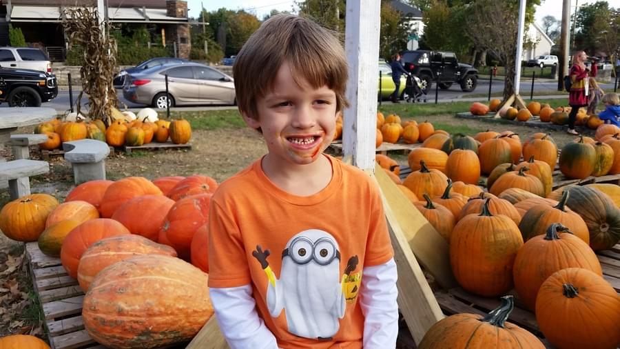 Autumn pumpkin display
