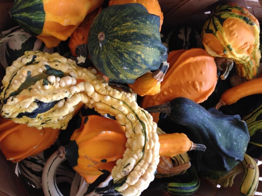 A crate of decorative gourds