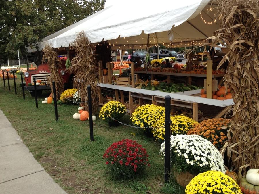 Heirloom pumpkins in mixed colors