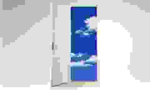 Section image