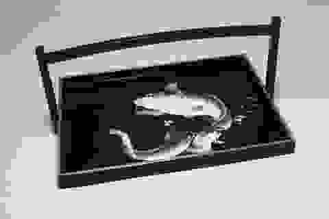 Section image