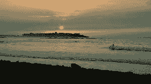 Section image
