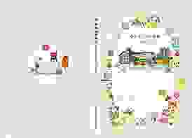 broken image