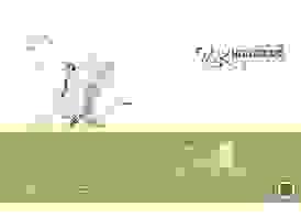 broken image