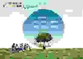 broken image