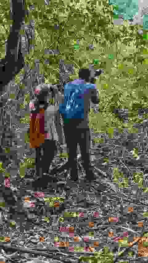 Section image