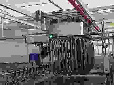 broken image