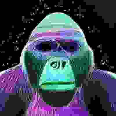 broken image