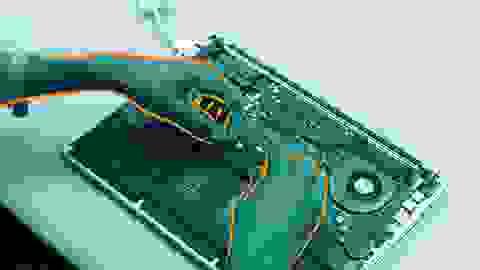 Section image
