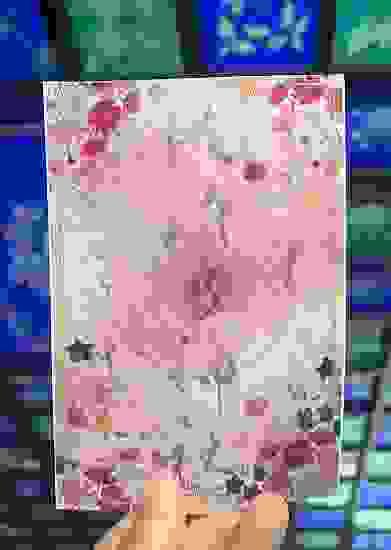 Section image