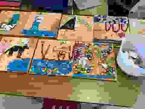broken image