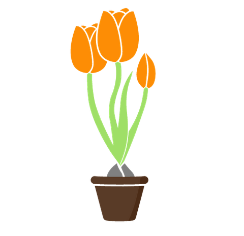 Large business, growing tulip