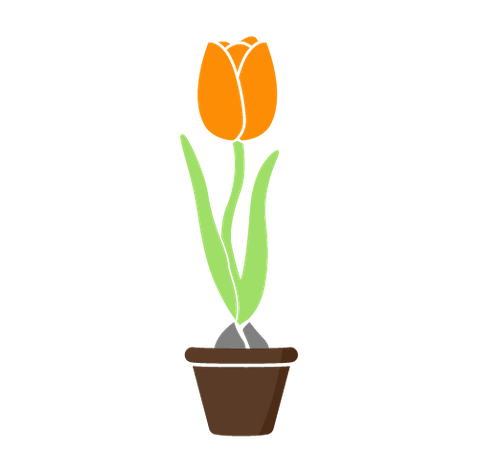 Medium business, growing tulip