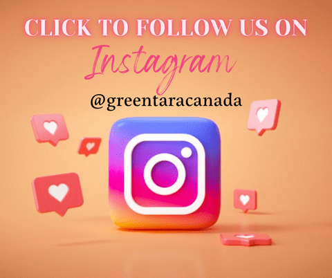 Follow us on Instagram @greentaracanada