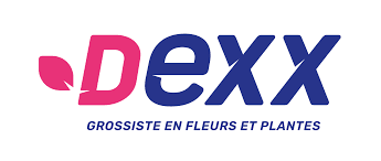 Grossiste fleurs