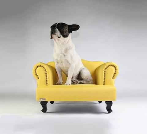Indoor Dog sofa