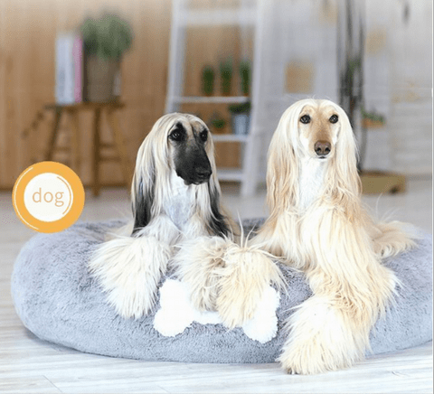 Dog Bed Pet Cushion