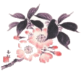 Ikebana International Portland Chapter #47