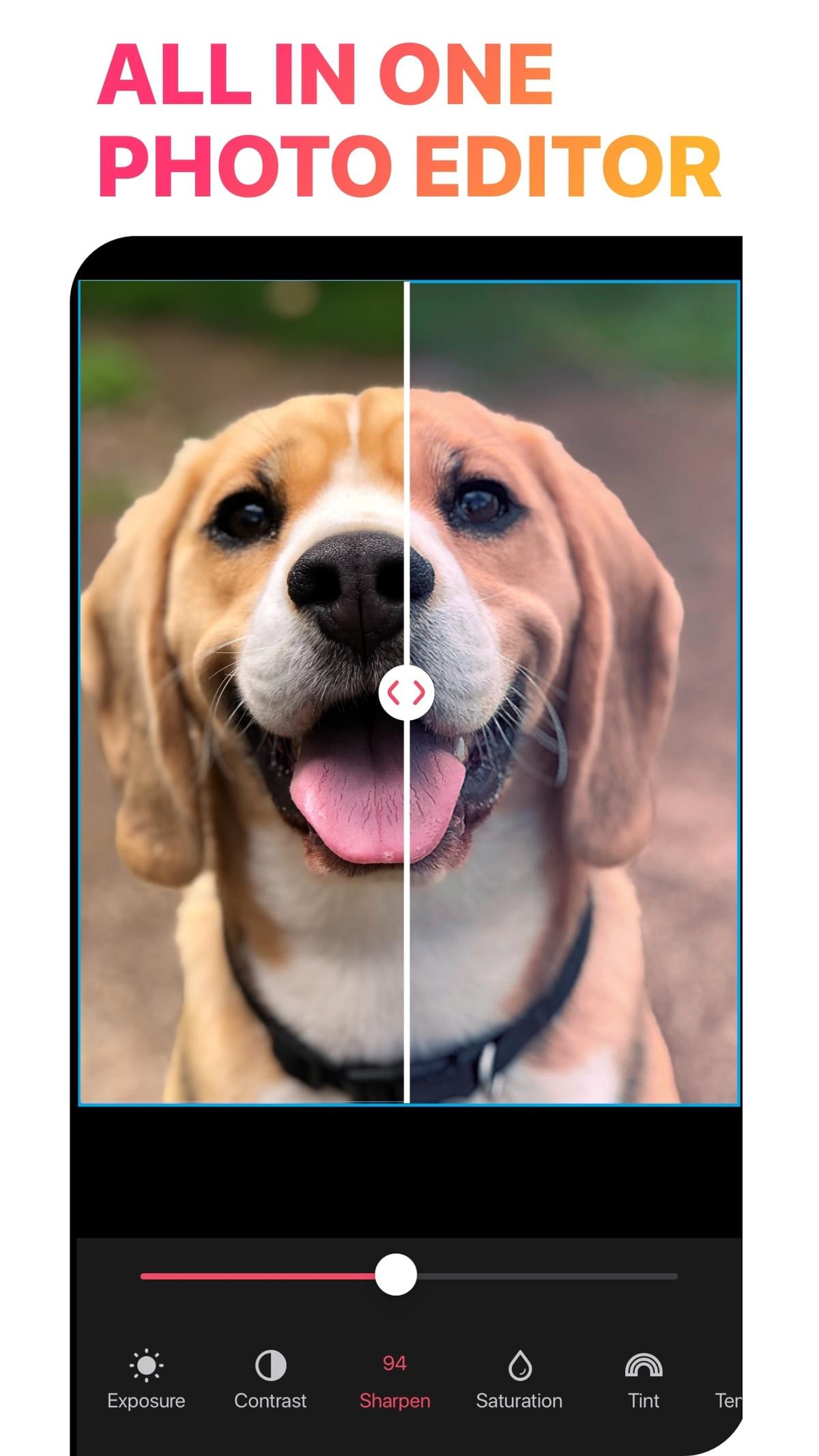 Photo editor comparing a dog photo before and after an adjustment