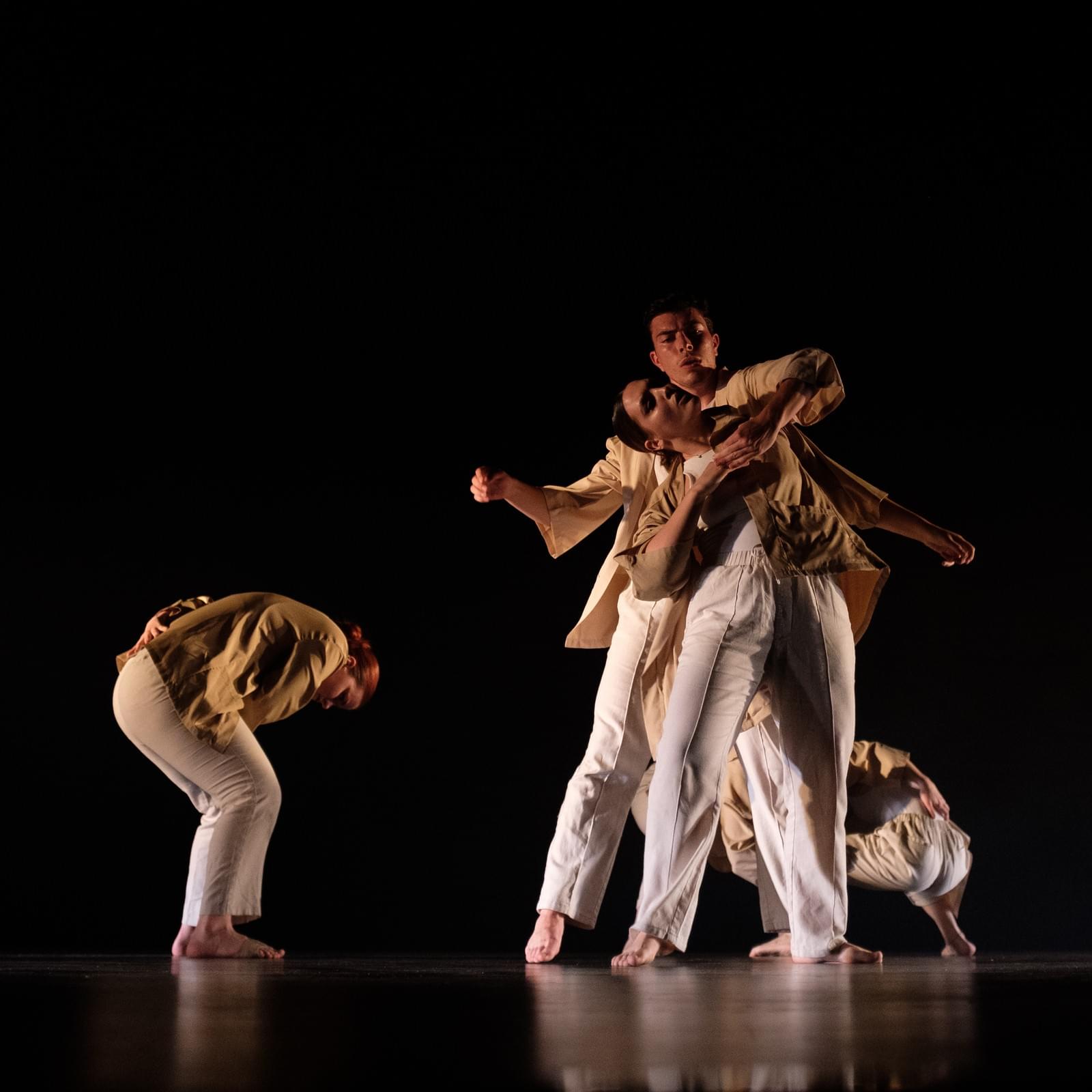 Danseurs de Fusion’Art Center sur scène — photo de spectacle 3