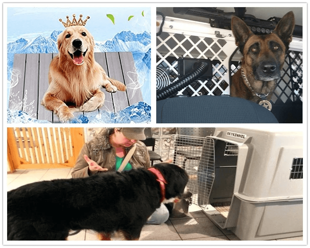 air condition dog house keeping pets cool in summer air condition dog house keeping pets cool in summer