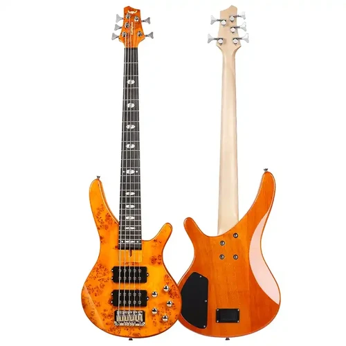 Electric Bass vs Bass Guitar Which One Should You Get?