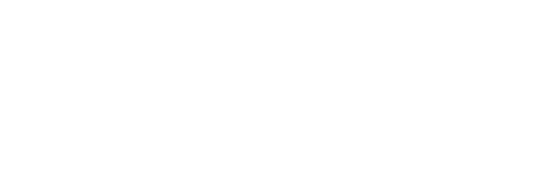 IndoGov Insights