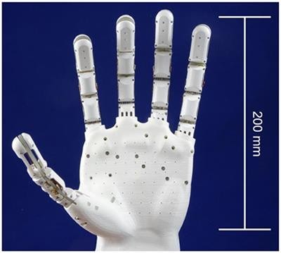 Nitinol finger actuators used in robotic hand Nitinol finger actuators used in robotic hand