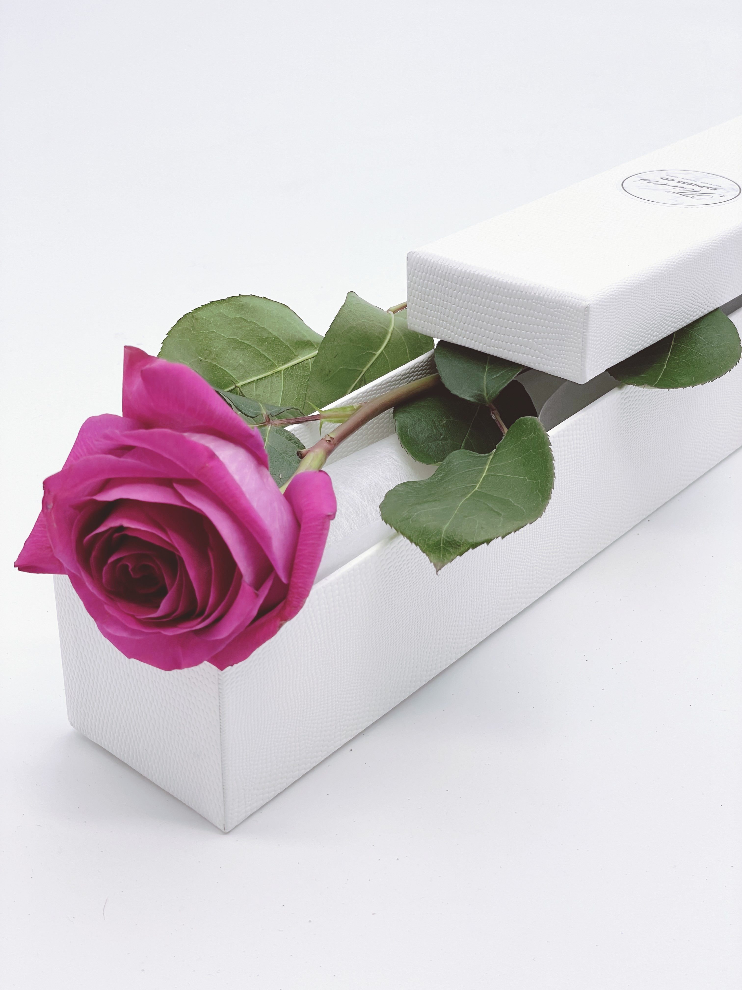 Stunning selection of eternal rose gift boxes showcasing preserved roses.