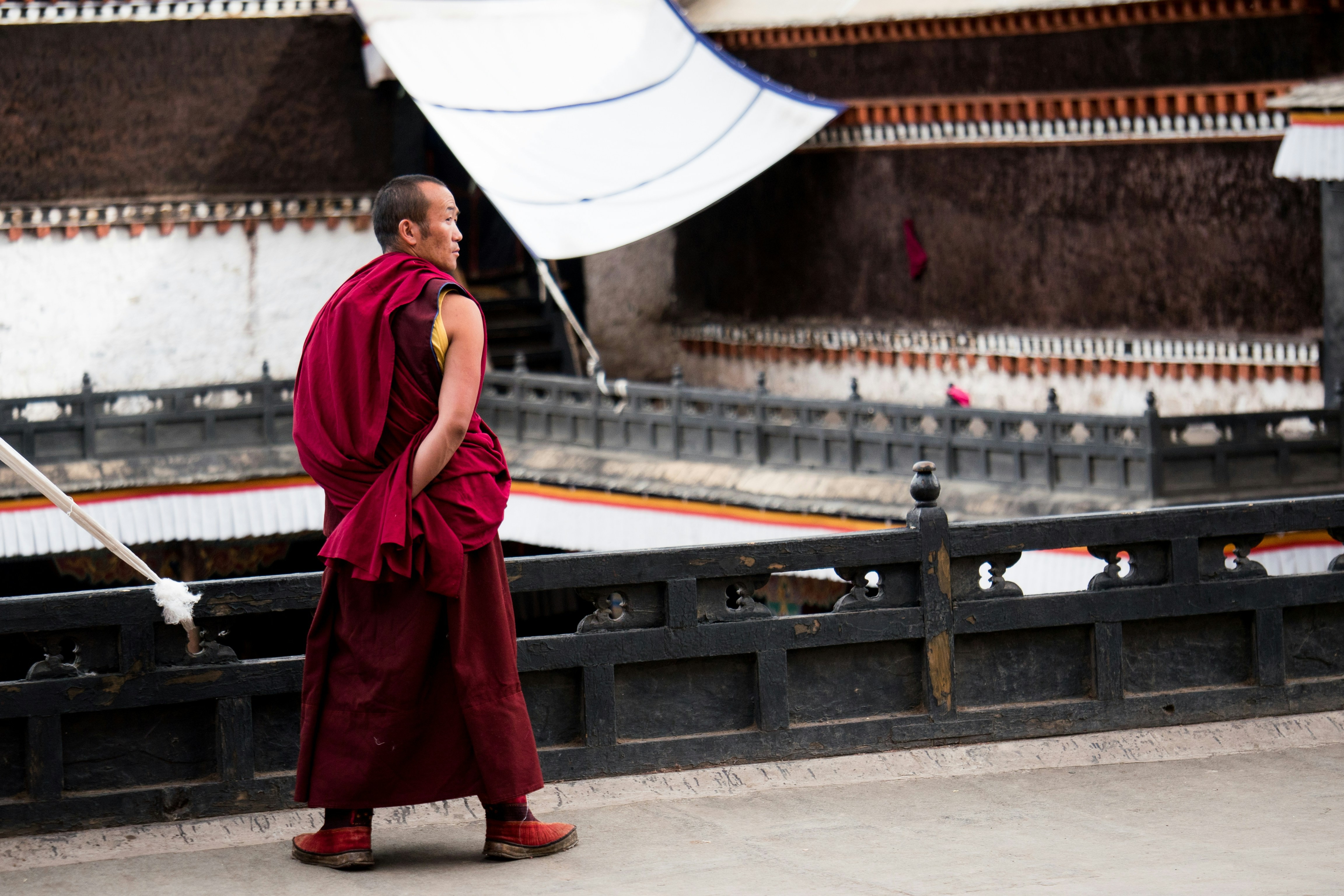 Unlocking Buddhist Mysteries: The Significance Of The Bodhi Tree - uxm4uuk