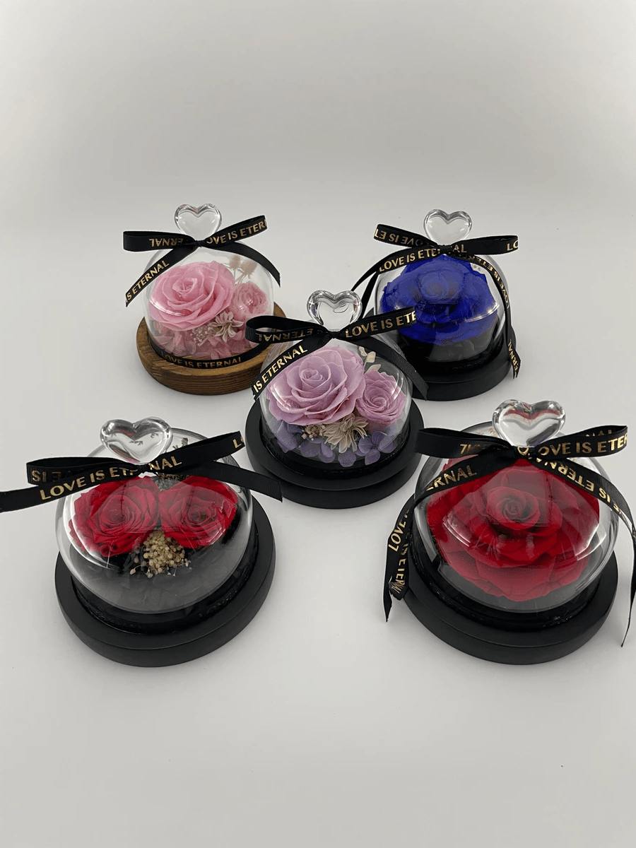 The eternity rose displayed beautifully with vibrant colors.