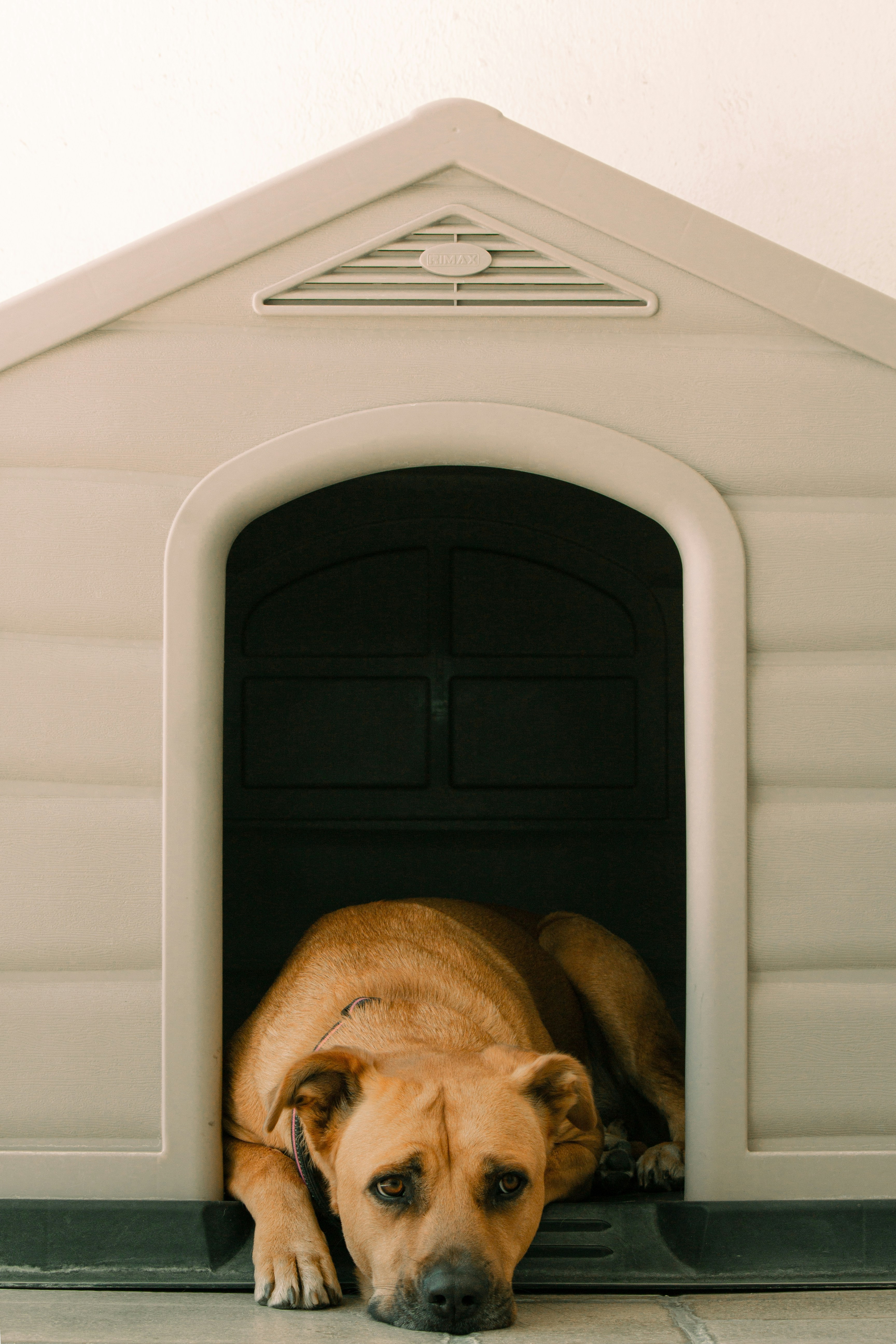 ac dog house cooling system ac dog house cooling system
