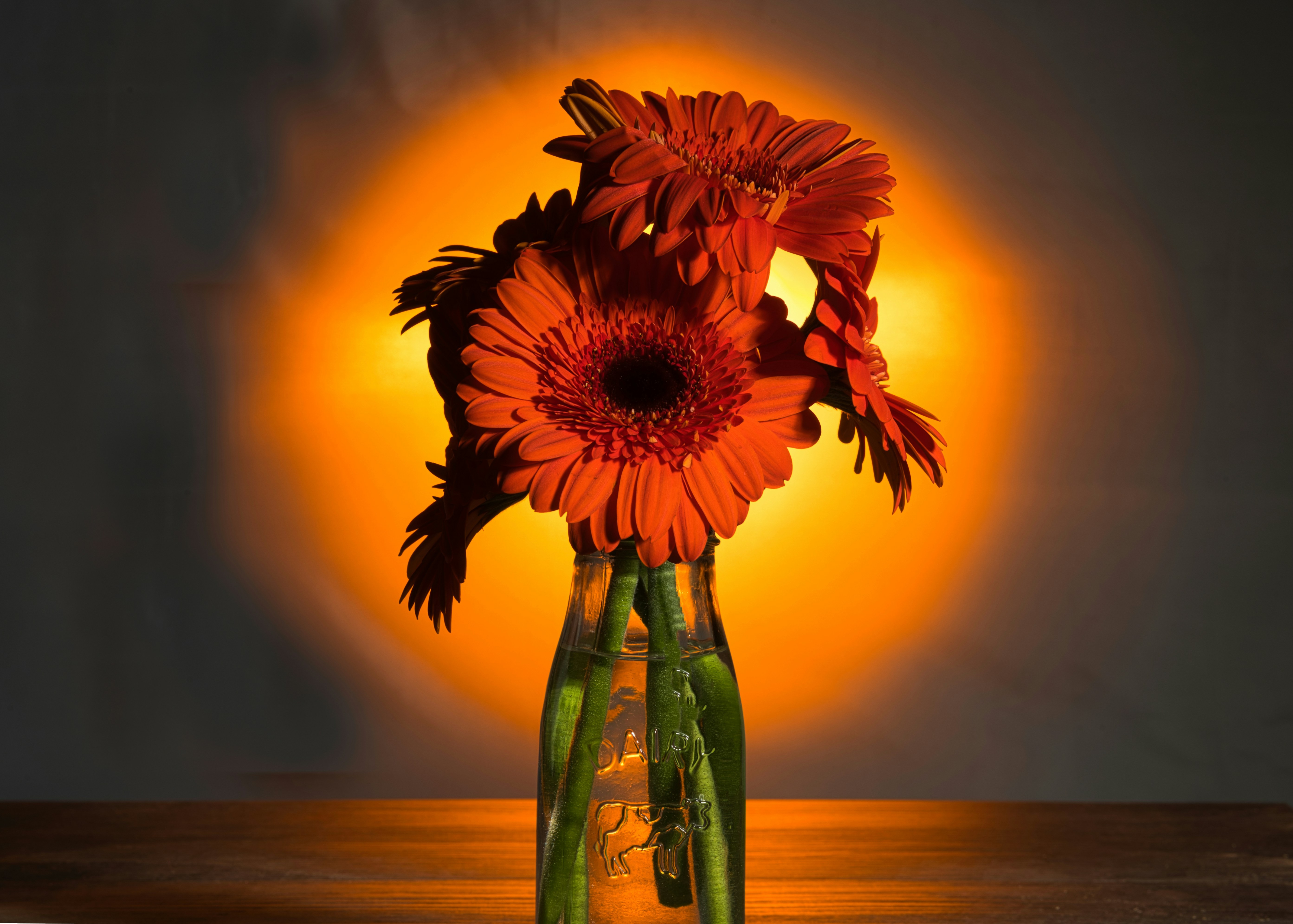 Flower subscription sydney brings vibrant bouquets to brighten up spaces. Flower subscription sydney brings vibrant bouquets to brighten up spaces.