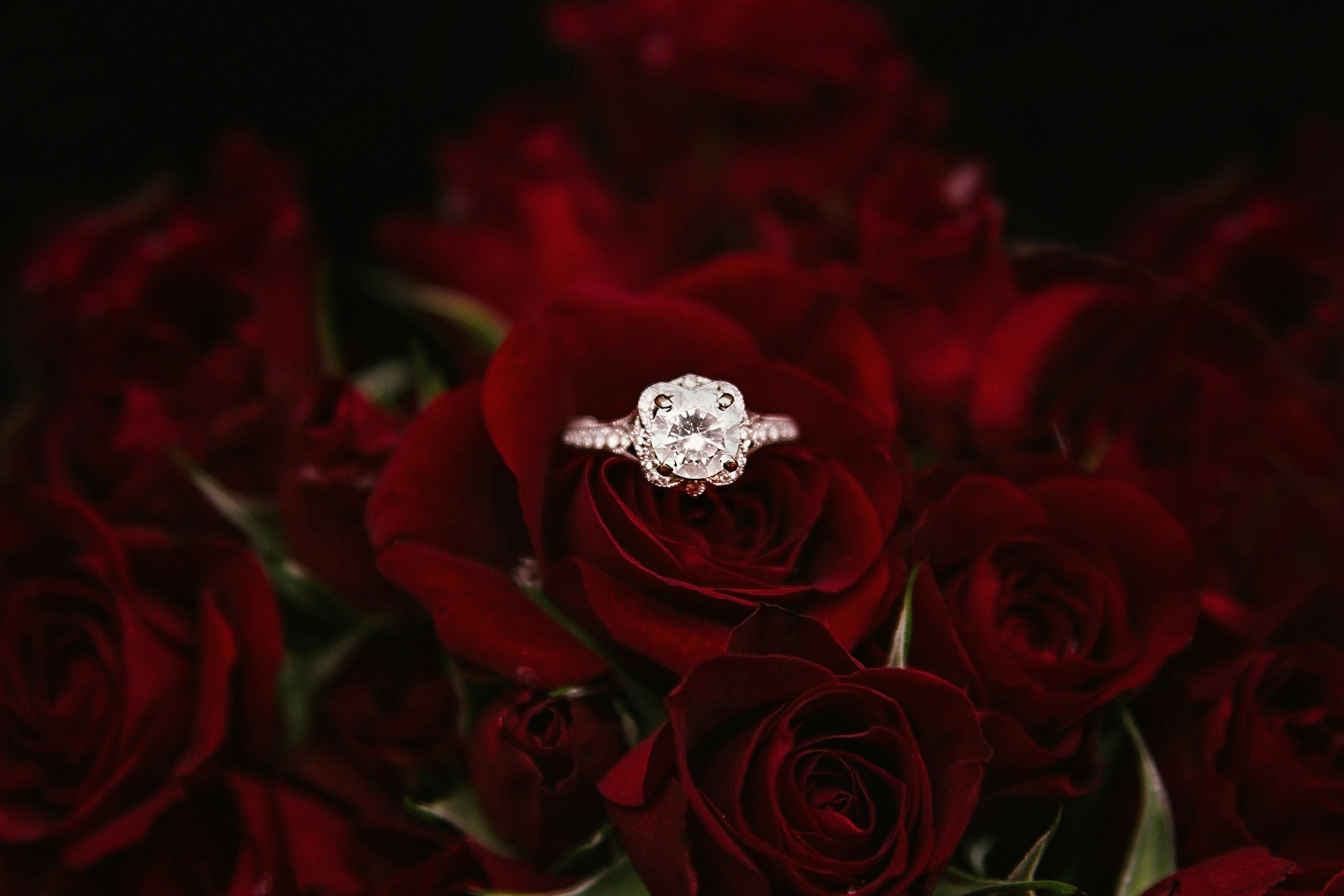 The eternity rose beautifully crafted in 24k gold.